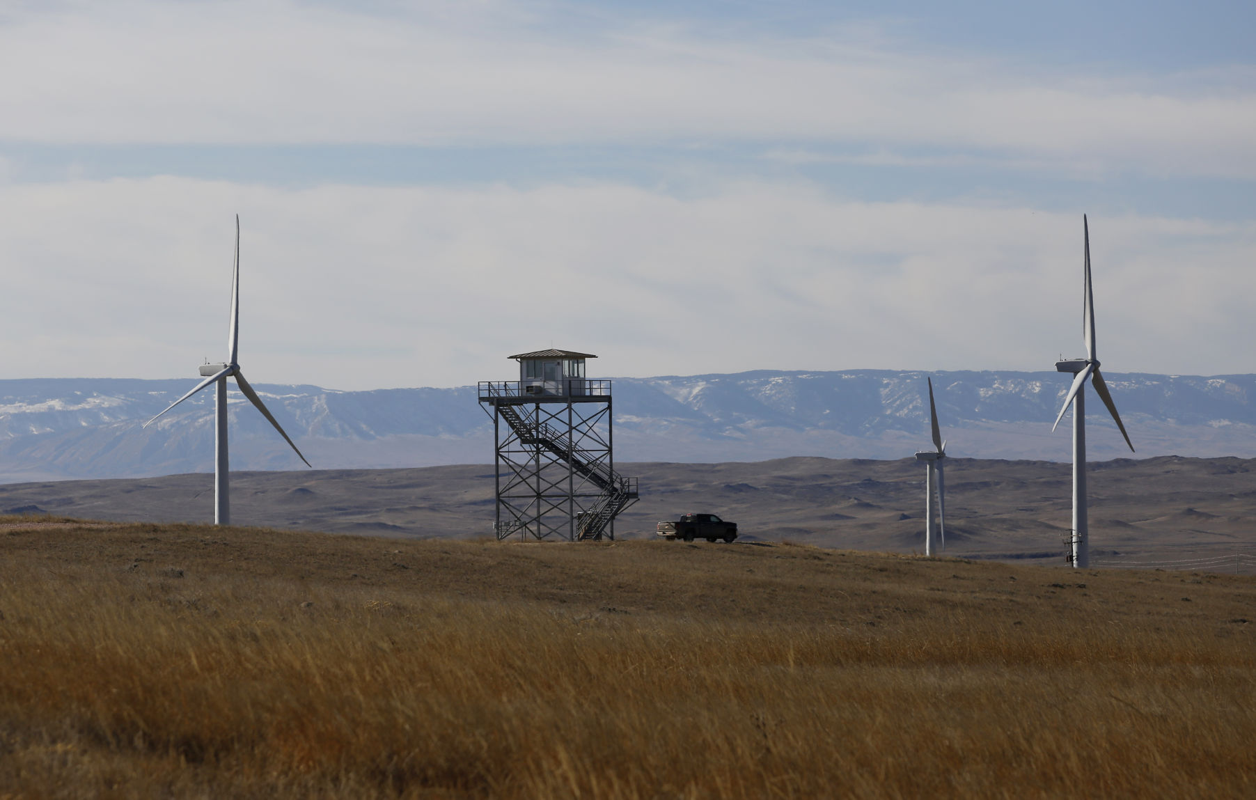 Wind Energy Eagles